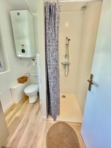 a bathroom with a toilet and a shower at Appartment Mal coiffé in Moulins
