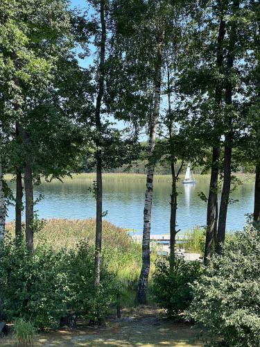 a view of a body of water with trees at Aframe Shanti DreamDim in Svityazʼ