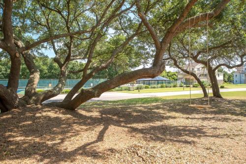a tree with a swing in a park at Sounds Great! in Duck