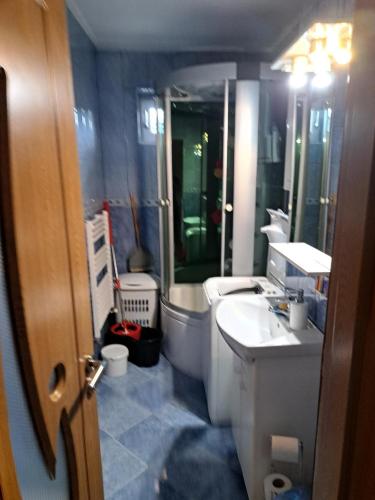 a bathroom with a sink and a toilet at Apartament Saraol in Deva