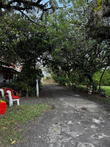 a park with a bench under a tree at Eco Hotel Rancho J en Tulua Valle in Morales