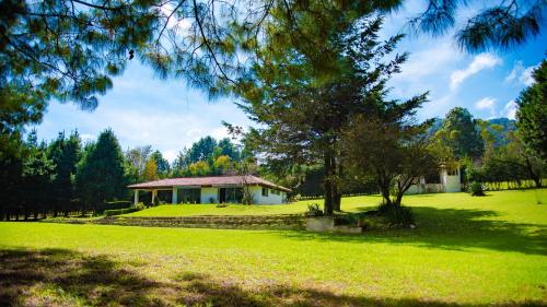 a small house in a field with a tree at Villa San Marcos in San Cristóbal de Las Casas