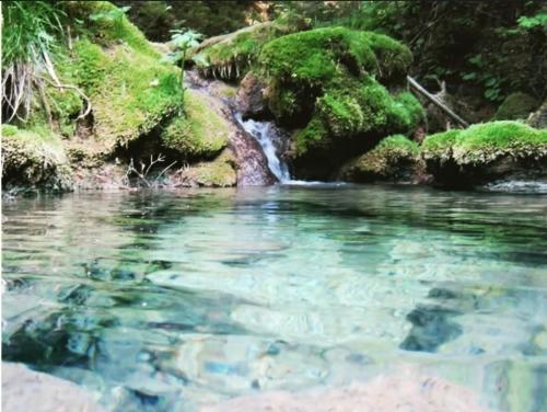 別荘の近くで見られる自然の景観