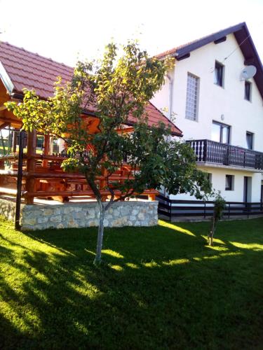 a tree in the yard of a house at Apartments Dale in Smoljanac