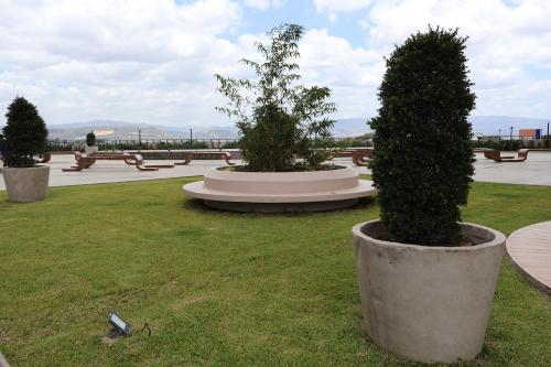 a group of trees in pots in a park at Apartmento Artemisa Distrito in Tegucigalpa