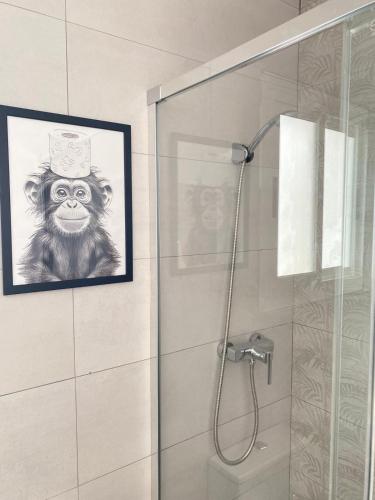 a bathroom with a shower with a picture of a monkey at Apartamentos SOL y ARENA in Almería