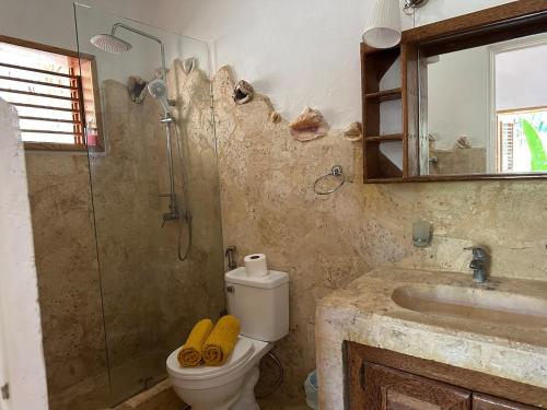 a bathroom with a toilet and a shower and a sink at Guest-Room 2 Palmeras with a pool in Las Galeras in Las Galeras