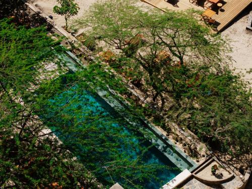 an overhead view of a pool of water with trees at Perla Roca Hotel Boutique - Beach Front in Santa Marta