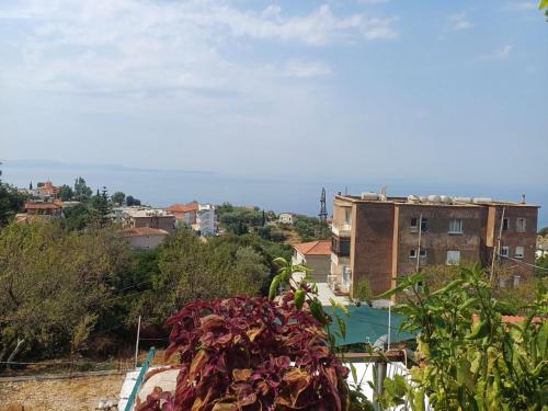 a view of a city with buildings in the background at Relax House in Lukovë