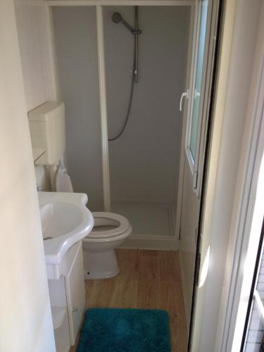 a bathroom with a shower and a toilet and a sink at Oliholiday Mobilehomes - Cavallino in Cavallino-Treporti