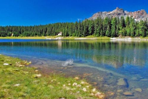 a large body of water with trees and mountains at Baita Snow Valtellina in Chiesa in Valmalenco