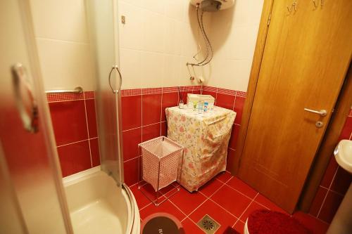 a bathroom with a red tiled floor and a toilet at ILIEVSKI apartment 4 in Kumanovo
