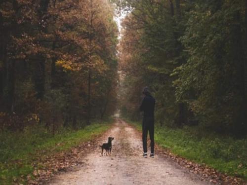 a man walking a dog down a dirt road at 4 person holiday home in Hampen in Hampen