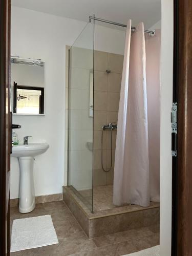 a bathroom with a glass shower and a sink at Pensiunea Salcioara in Salcioara