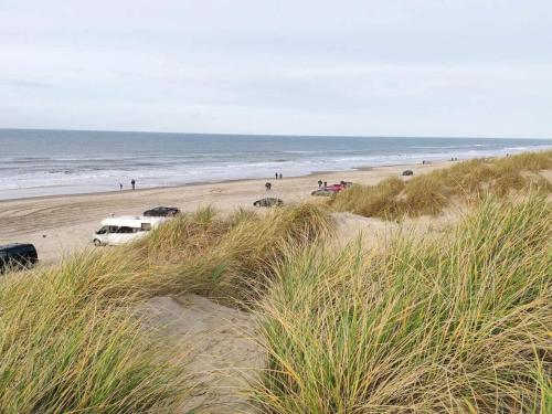 a group of cars parked on a beach at 4 star holiday home in Blokhus-By Traum in Blokhus