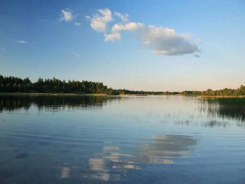 a large body of water with trees in the background at 4 person holiday home in Hampen in Hampen