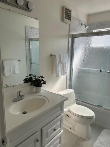 a bathroom with a sink and a toilet and a shower at Home away from home in Concord