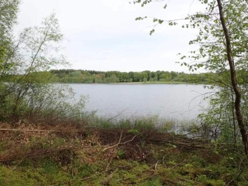 a view of a lake with trees in the background at 4 person holiday home in Hampen in Hampen