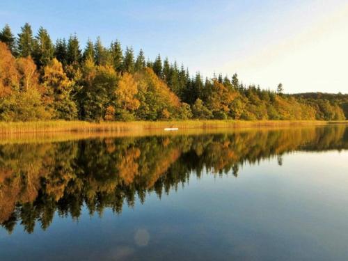 a lake with trees reflecting in the water at 4 person holiday home in Hampen in Hampen
