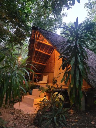 Ein Garten an der Unterkunft Lazy Lizard Hostel