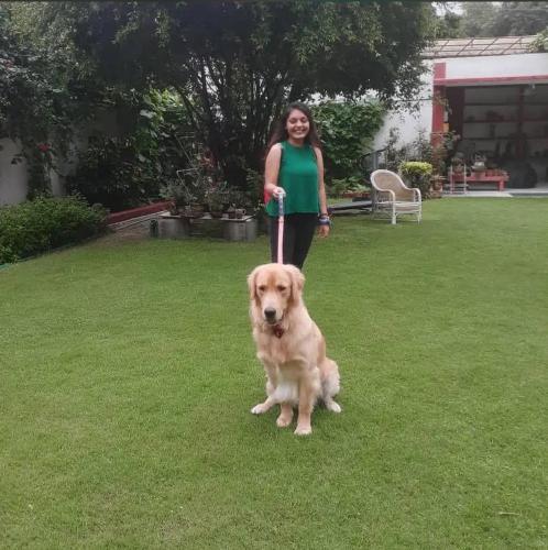 a woman walking a large brown dog on a leash at Green Serene Abode in Meerut