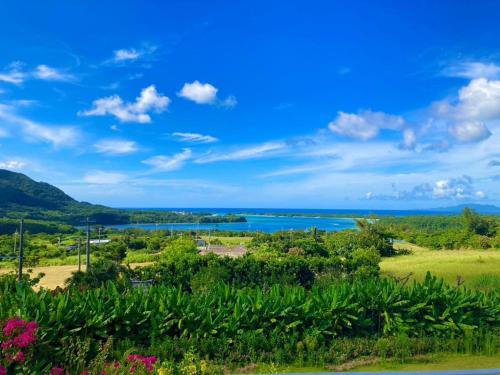 a view of the ocean from a hill with flowers at Nico House C - Vacation STAY 07511v in Kabira
