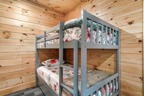 Top rated Smokies Cabin, Arcade, HotTub, Sleeps 12 photo 28