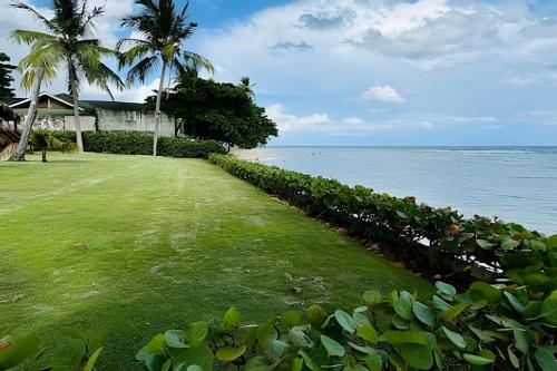 a grassy yard next to the ocean with palm trees at Caribbean Beachfront Living, Apartment in Juan Dolio