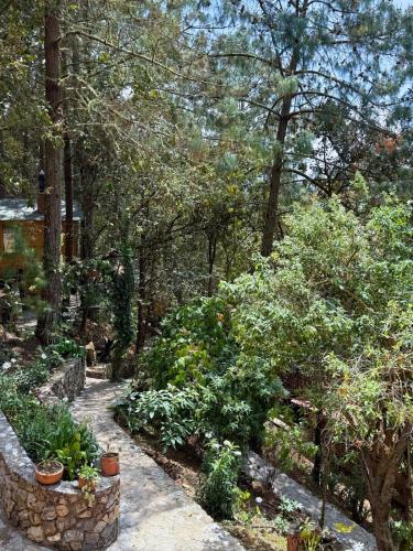 Κήπος έξω από το Cabaña Alcatraz at Casa Elba