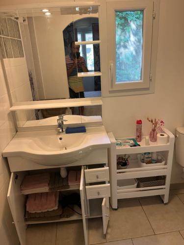 a person taking a picture of a bathroom sink at Bonifacio tranquillité paradis in SantʼAmanza