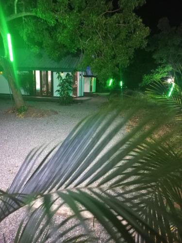 a palm tree in front of a building at night at Euro Elephant Yala in Tissamaharama