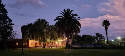 a house with a palm tree in a park at night at Mi Rancho - Casa De Campo Para Descanso Familiar in Salta