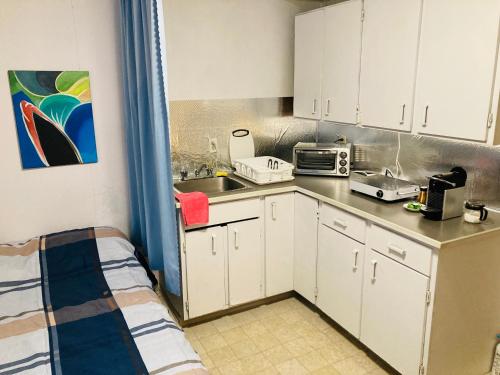 Η κουζίνα ή μικρή κουζίνα στο Studio Suite with private Living room at semi-basement