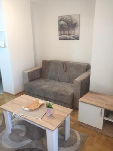ein Wohnzimmer mit Sofa und Tisch in der Unterkunft DZL - Apartman Nina in Vrnjačka Banja