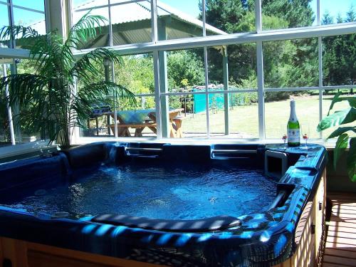 a large swimming pool in a house with a bottle of beer at Sunburst Retreat in Eildon