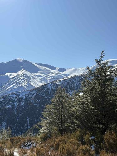a snow covered mountain range with trees in the foreground at Ski Pad Methven in Methven