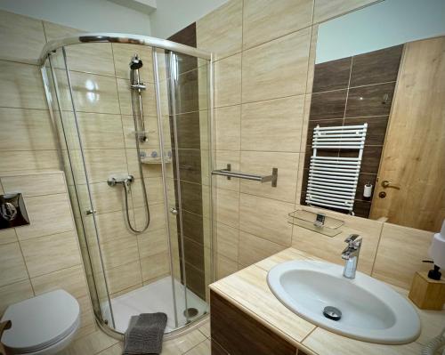 a bathroom with a shower and a sink at Fészek Fogadó - Pension Nest in Mosonmagyaróvár