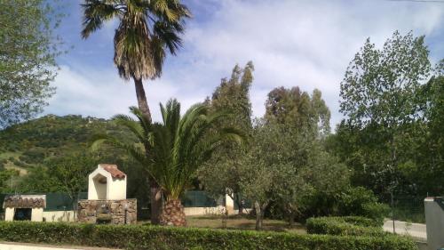 Κήπος έξω από το Villa Su Navru