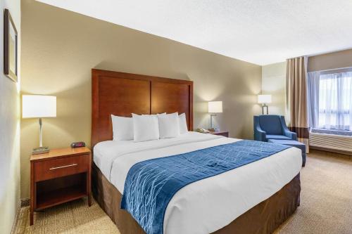 a hotel room with a large bed and a blue chair at Comfort Inn Aikens Center in Martinsburg