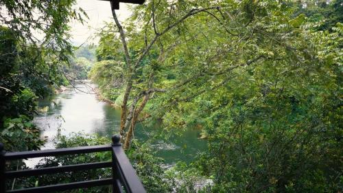 Billede fra billedgalleriet på River Breeze Villa i Avissawella