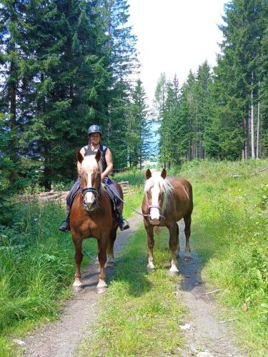 a person riding on a horse on a trail at Prestlhof in Mariapfarr