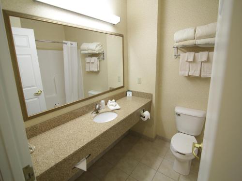 a bathroom with a sink and a toilet and a mirror at Town & Country Inn and Suites in Quincy