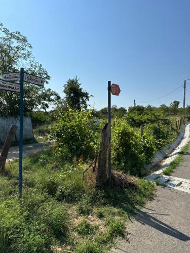 Φωτογραφία από το άλμπουμ του Casa La Taicu σε Păuneşti