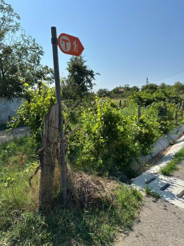 Φυσικό τοπίο κοντά σε αυτή η εξοχική κατοικία
