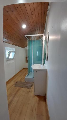 a bathroom with a sink and a glass shower at T2 dans le centre ville de Ferney in Ferney-Voltaire