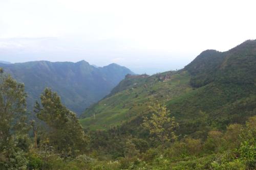 auliculiculiculiculiculiculiculiculiculiculiculiculiculiculic at HIGHLAND Hills in Coonoor
