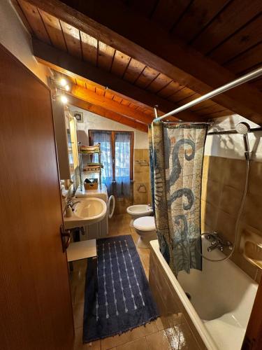 a bathroom with a sink and a toilet and a shower at Baita in città in Branzi