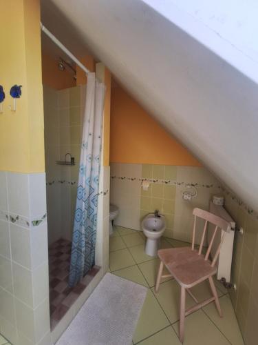 a bathroom with a toilet and a chair in it at Gospodarstwo Agroturystyczne Bukowy Jar in Połczyn-Zdrój