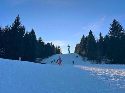 Ski di apartmen atau berdekatan