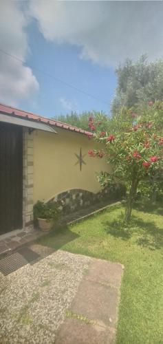 Gallery image of Casa Vacanze Marcella in Palinuro